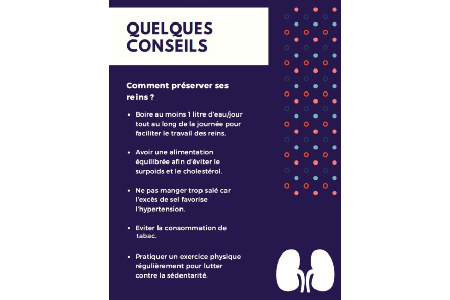 dépistage maladie rénale2