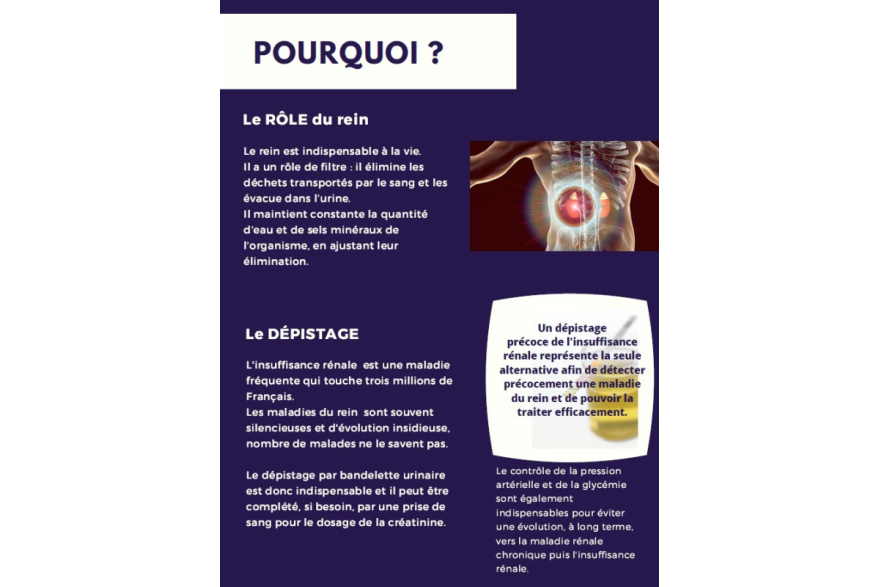 dépistage maladie rénale1