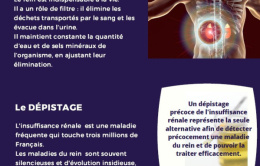 dépistage maladie rénale1